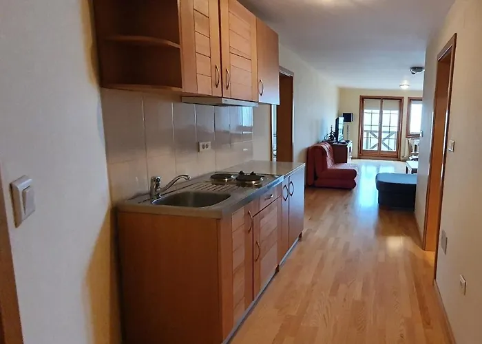 117 Jahorina-privatni U Vucko Aparthotel 4*