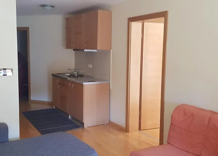 117 Jahorina-privatni U Vucko 4* Jahorina